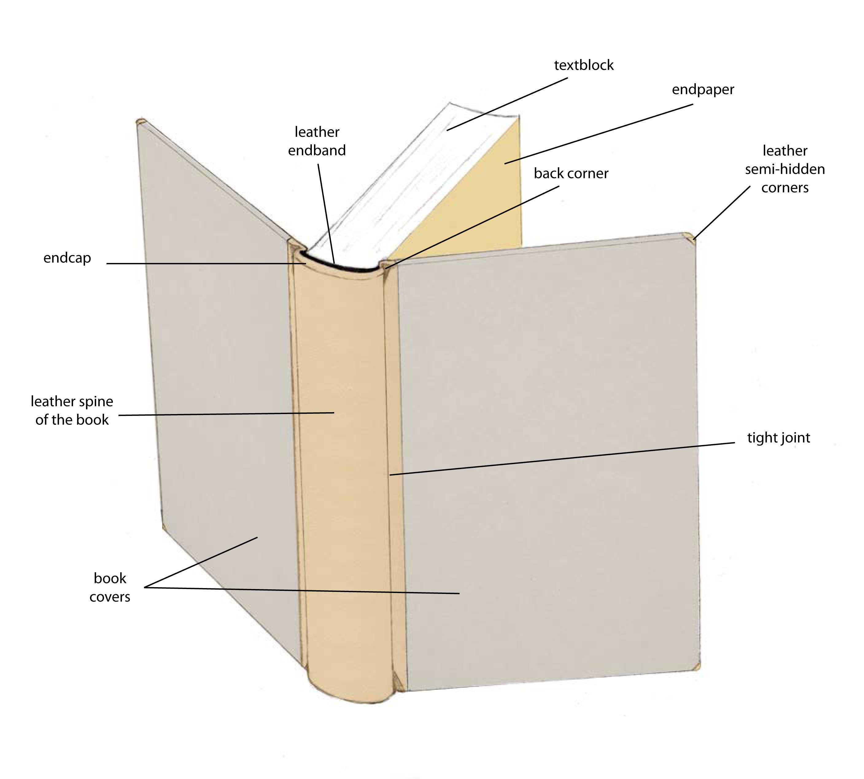 Anatomy of a book